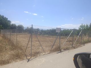 Αγροτεμάχια 280 τ.μ. για πώληση