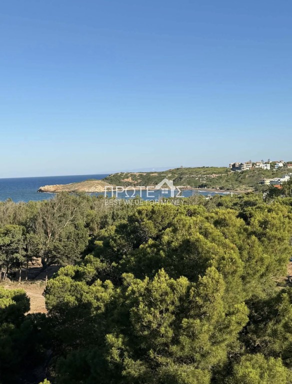 Διαμέρισμα 84 τ.μ. πρός πώληση, Αττική - Υπόλοιπο, Ραφήνα