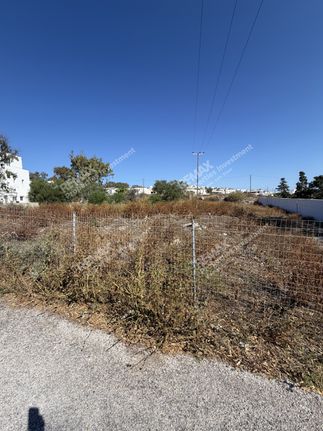 Οικόπεδο 1.000 τ.μ. για ενοικίαση, Κυκλάδες, Σαντορίνη