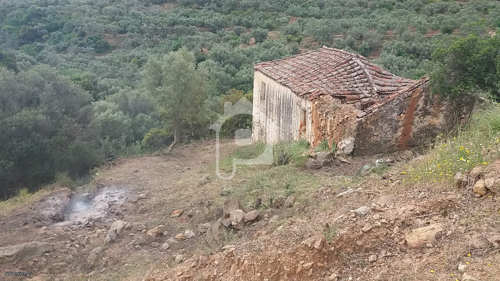 Μονοκατοικία 800 τ.μ. προς πώληση, Τέρια