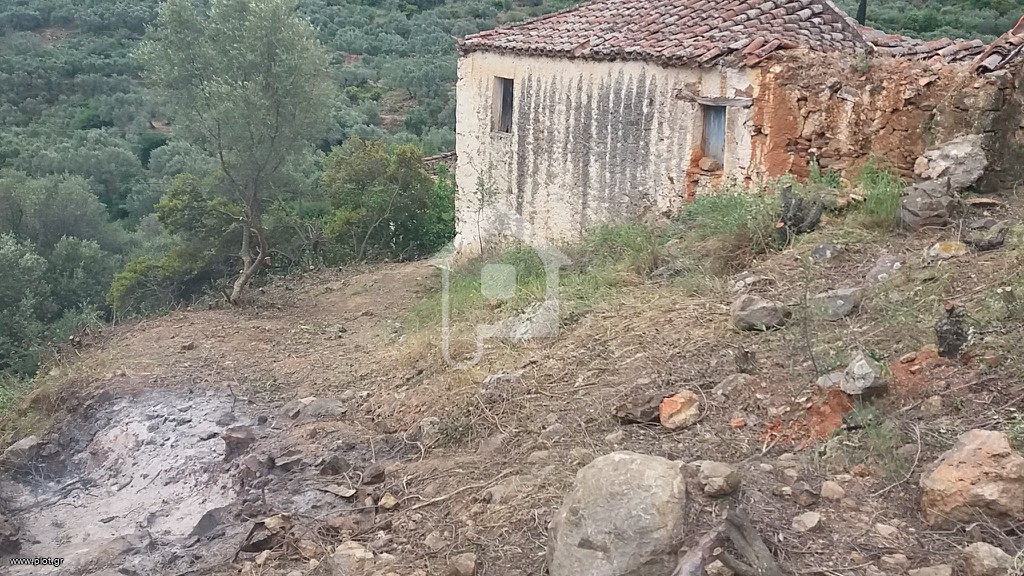 Μονοκατοικία 800 τ.μ. προς πώληση, Τέρια