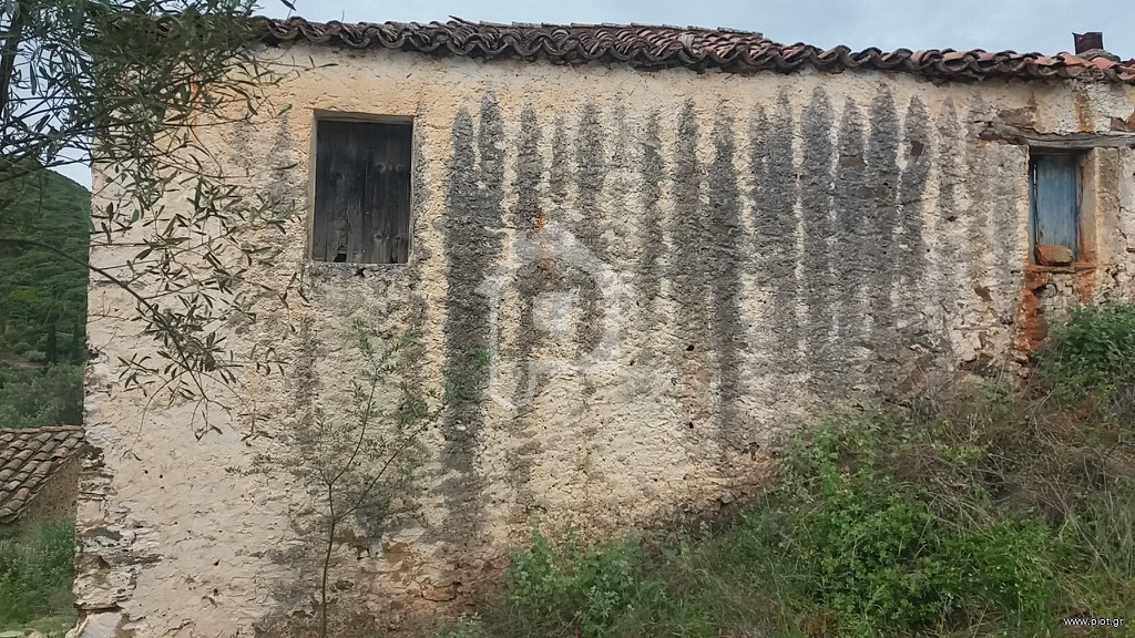 Μονοκατοικία 800 τ.μ. προς πώληση, Τέρια