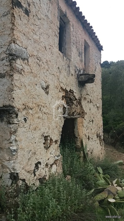 Μονοκατοικία 800 τ.μ. προς πώληση, Τέρια