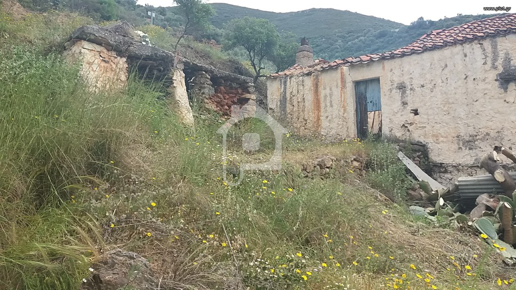 Μονοκατοικία 800 τ.μ. προς πώληση, Τέρια
