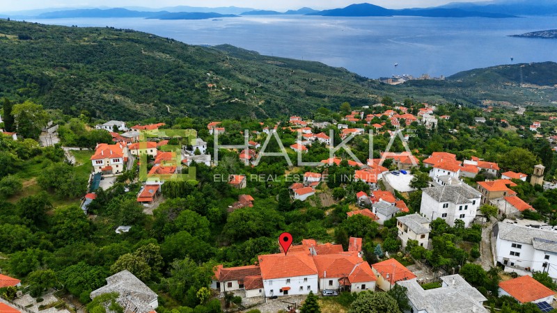 Μεζονέτα 435 τ.μ. πρός πώληση, Μαγνησία, Πορταριά