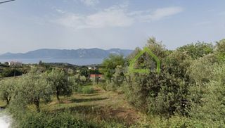 Οικόπεδο 1.036 τ.μ. για πώληση, Εύβοια, Λιχάδα-thumb-3
