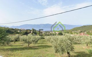 Οικόπεδο 1.036 τ.μ. για πώληση