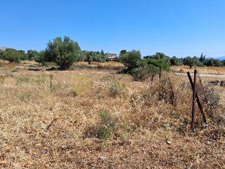 Αγροτεμάχια 7.459 τ.μ. για πώληση