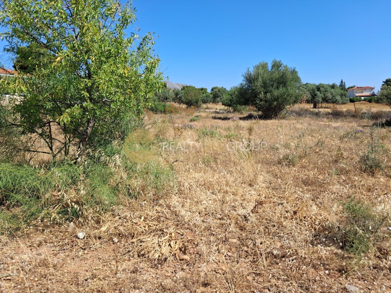 Αγροτεμάχια 7.459 τ.μ. προς πώληση, Κάντζα
