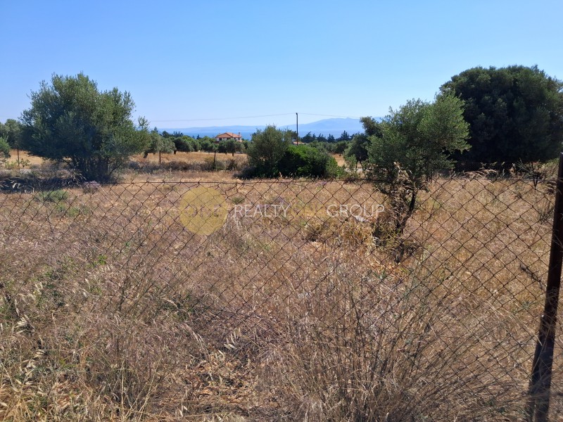Αγροτεμάχια 7.459 τ.μ. προς πώληση, Κάντζα