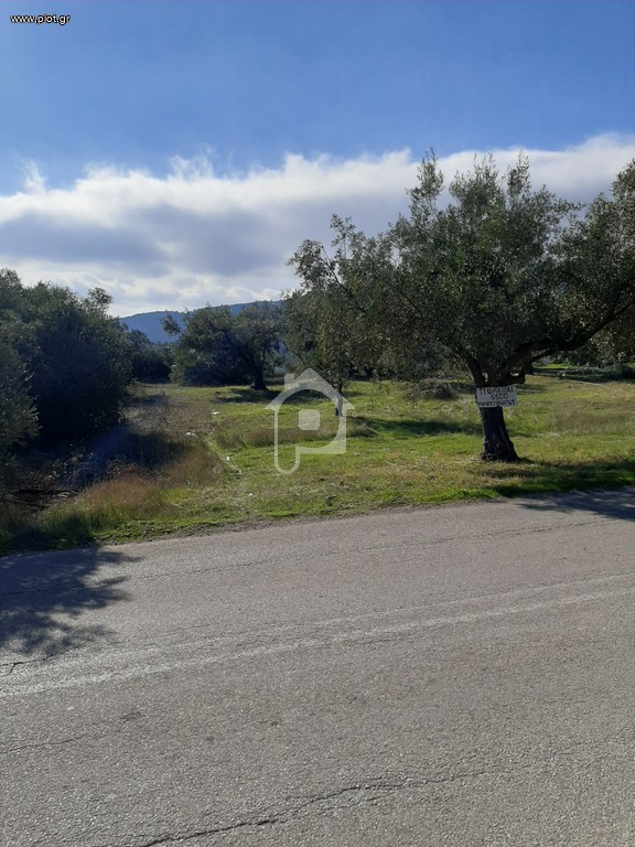 Οικόπεδο 5.500 τ.μ. προς πώληση, Δροσιά Ανθηδώνος