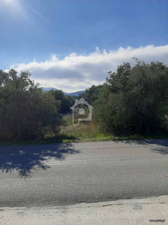 Οικόπεδο 5.500 τ.μ. προς πώληση, Δροσιά Ανθηδώνος