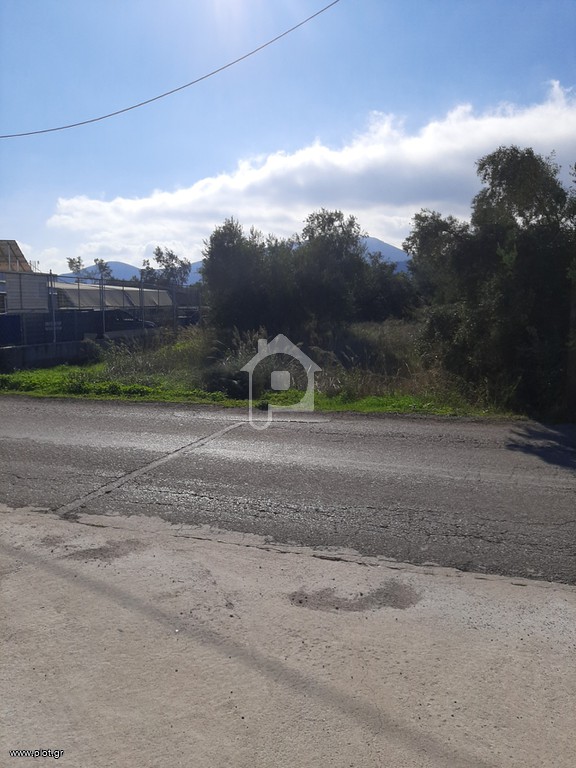 Οικόπεδο 5.500 τ.μ. προς πώληση, Δροσιά Ανθηδώνος