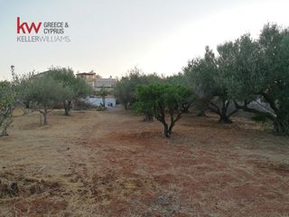 Οικόπεδο 1.236,85 τ.μ. για πώληση