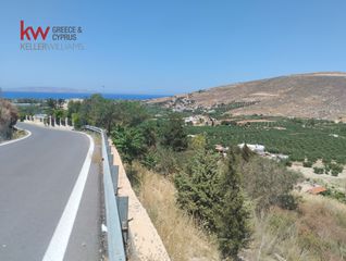 Οικόπεδο 8.585 τ.μ. για πώληση