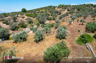 Αγροτεμάχια 5.375 τ.μ. για πώληση, Αργολίδα, Κρανίδι-thumb-17