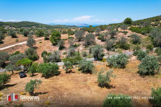 Αγροτεμάχια 5.375 τ.μ. για πώληση, Αργολίδα, Κρανίδι-thumb-9