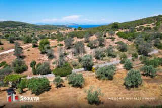 Αγροτεμάχια 5.375 τ.μ. για πώληση, Αργολίδα, Κρανίδι-thumb-26