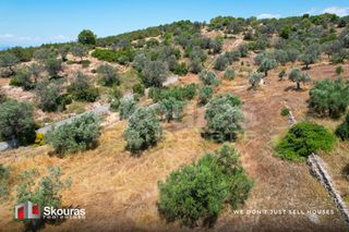 Αγροτεμάχια 5.375 τ.μ. για πώληση, Αργολίδα, Κρανίδι-thumb-10