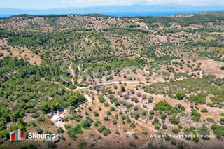 Αγροτεμάχια 5.375 τ.μ. για πώληση, Αργολίδα, Κρανίδι-thumb-6
