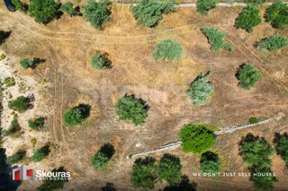 Αγροτεμάχια 5.375 τ.μ. για πώληση, Αργολίδα, Κρανίδι-thumb-21