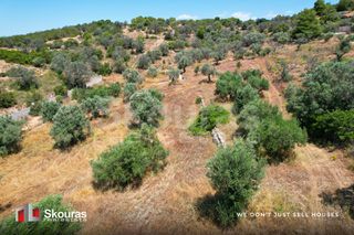 Αγροτεμάχια 5.375 τ.μ. για πώληση, Αργολίδα, Κρανίδι-thumb-22
