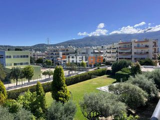 Studio / γκαρσονιέρα 30 τ.μ. πρός ενοικίαση, Αχαΐα, Πάτρα-thumb-48