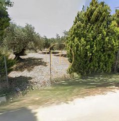 Land plot 1.500 sqm for rent