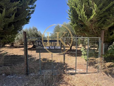 Οικόπεδο 1.500 τ.μ. προς ενοικίαση