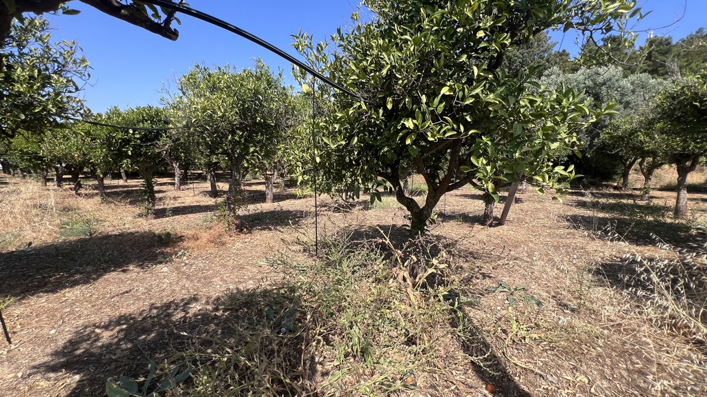 Οικόπεδο 2.257 τ.μ. πρός πώληση, Ν. Χίου, Χίος