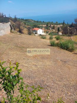 Οικόπεδο 1.000 τ.μ. προς πώληση
