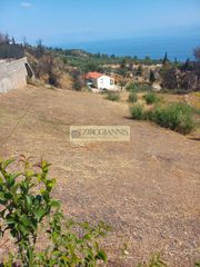 Οικόπεδο 1.000 τ.μ. για πώληση