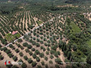 Οικόπεδο 5.675 τ.μ. προς πώληση, Δρακονέρι-thumb-10