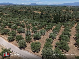Οικόπεδο 5.675 τ.μ. προς πώληση, Δρακονέρι-thumb-7