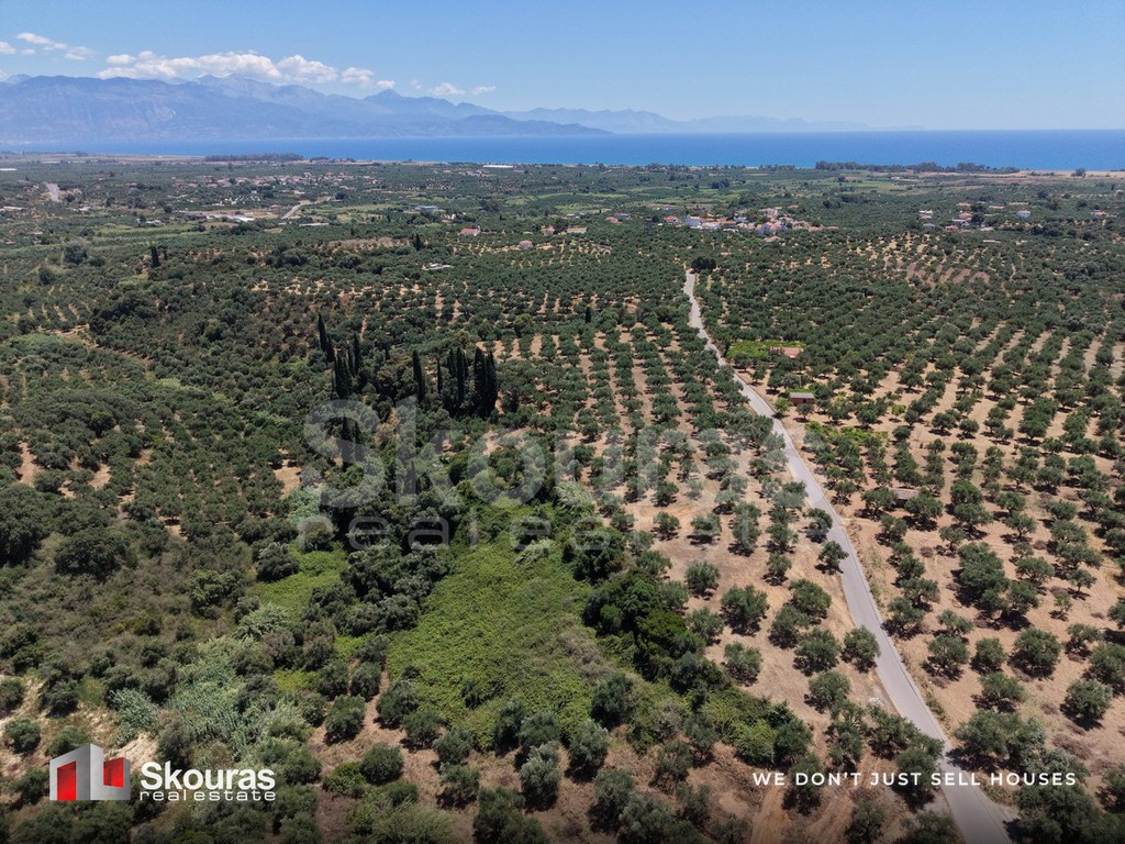 Οικόπεδο 5.675 τ.μ. προς πώληση, Δρακονέρι
