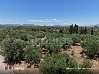 Οικόπεδο 5.675 τ.μ. προς πώληση, Δρακονέρι-thumb-22