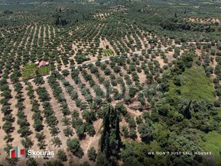 Οικόπεδο 5.675 τ.μ. προς πώληση, Δρακονέρι-thumb-11