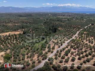 Οικόπεδο 5.675 τ.μ. προς πώληση, Δρακονέρι-thumb-13