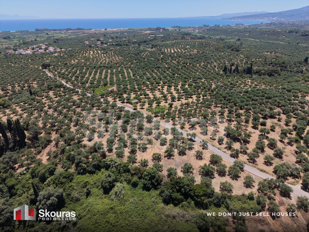 Οικόπεδο 5.675 τ.μ. προς πώληση, Δρακονέρι