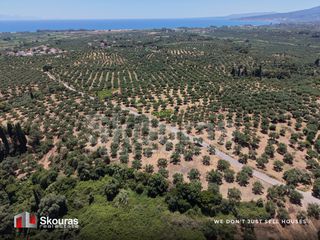 Οικόπεδο 5.675 τ.μ. προς πώληση, Δρακονέρι-thumb-3