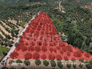 Οικόπεδο 5.675 τ.μ. προς πώληση, Δρακονέρι-thumb-9