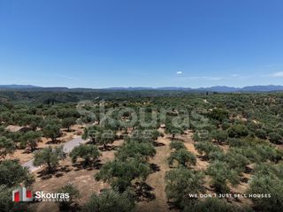 Οικόπεδο 5.675 τ.μ. προς πώληση, Δρακονέρι-thumb-21