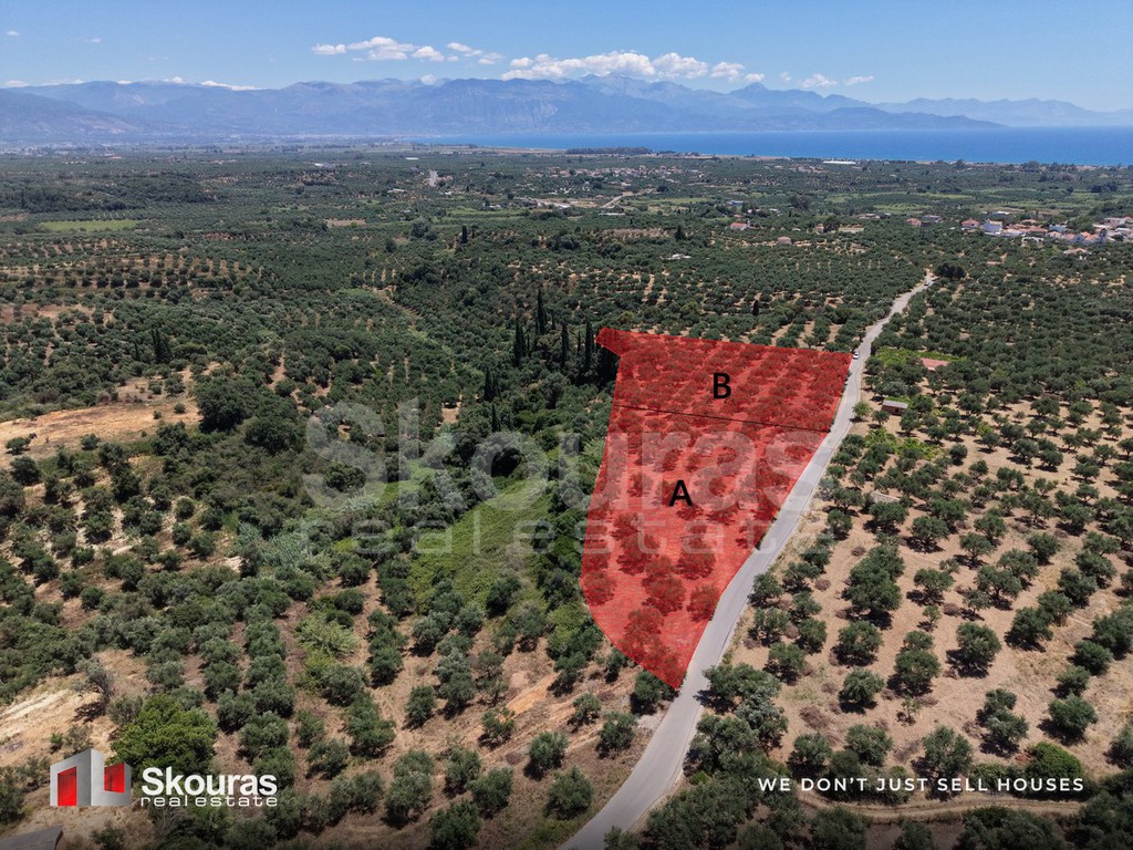 Οικόπεδο 5.675 τ.μ. για πώληση, Μεσσηνία, Μεσσήνη