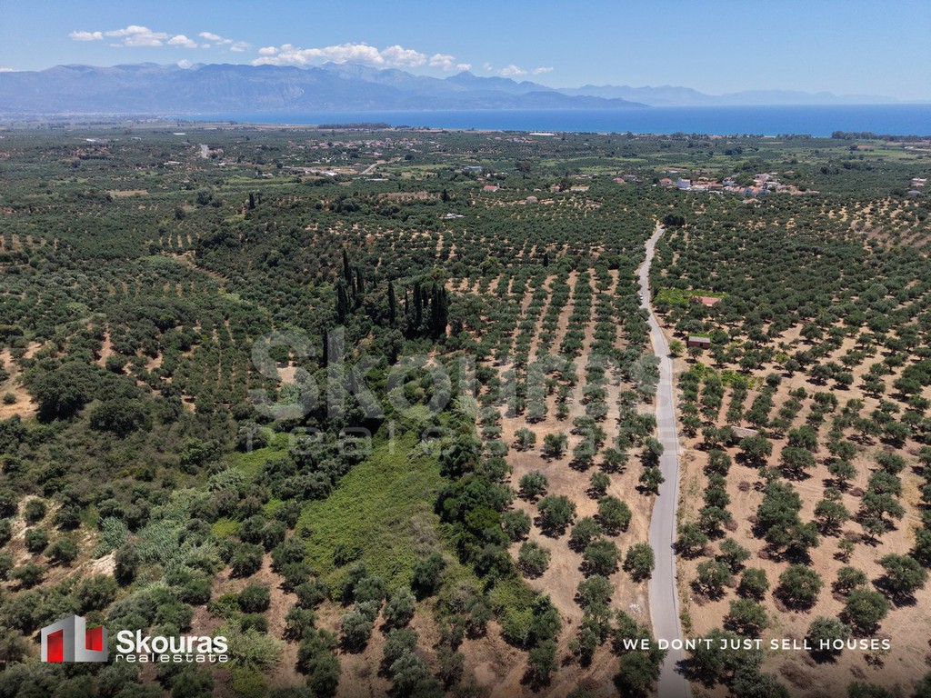 Οικόπεδο 5.675 τ.μ. προς πώληση, Δρακονέρι