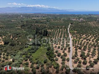 Οικόπεδο 5.675 τ.μ. προς πώληση, Δρακονέρι-thumb-1