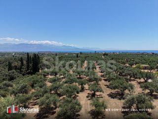 Οικόπεδο 5.675 τ.μ. προς πώληση, Δρακονέρι-thumb-19