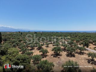 Οικόπεδο 5.675 τ.μ. προς πώληση, Δρακονέρι-thumb-18