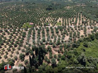 Οικόπεδο 5.675 τ.μ. προς πώληση, Δρακονέρι-thumb-5