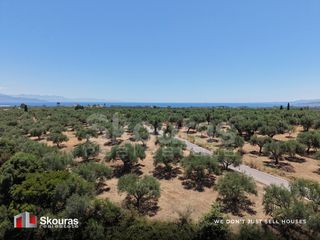 Οικόπεδο 5.675 τ.μ. προς πώληση, Δρακονέρι-thumb-17