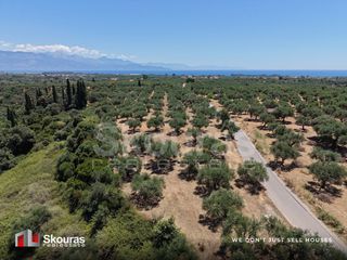 Οικόπεδο 5.675 τ.μ. προς πώληση, Δρακονέρι-thumb-15